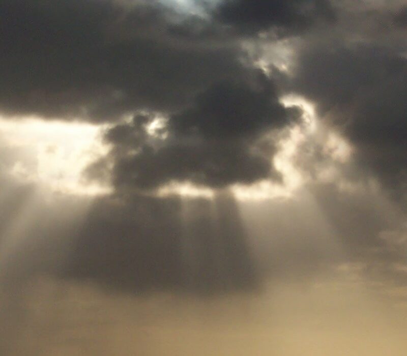 All in the Early Morning Grey